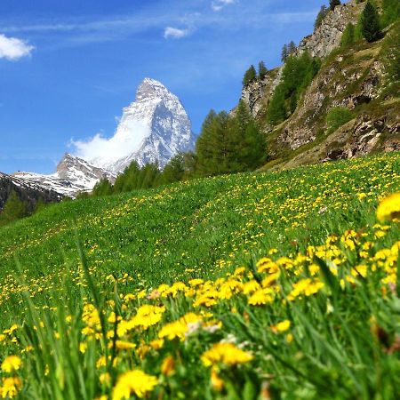 Apartment Apollo By Interhome Zermatt Dış mekan fotoğraf