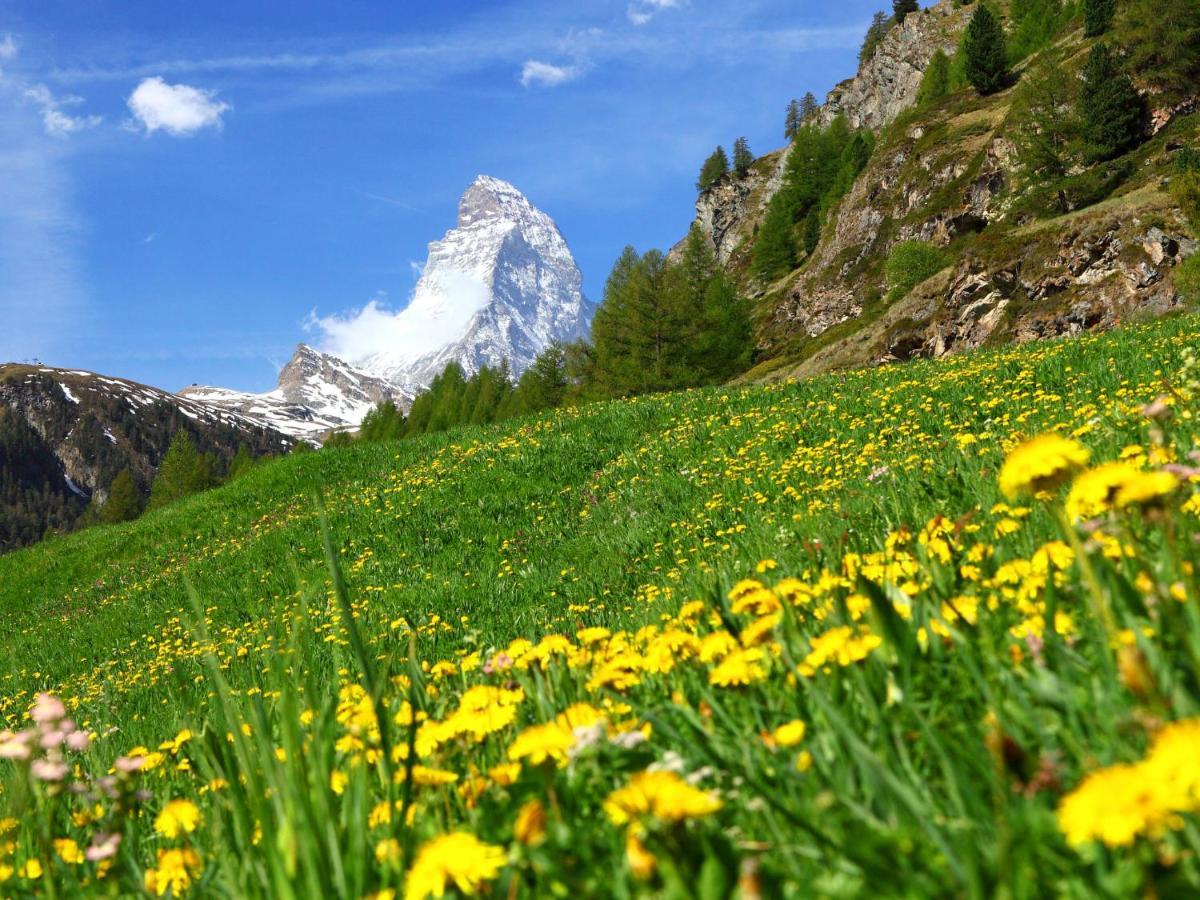 Apartment Apollo By Interhome Zermatt Dış mekan fotoğraf